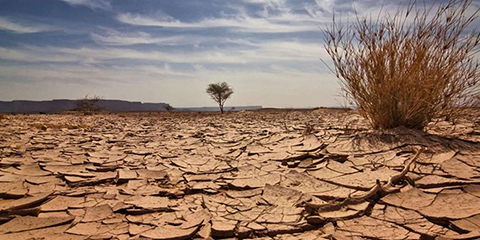 Terra Seca